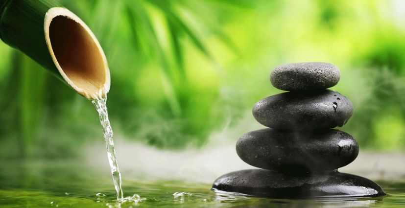 af58b5c5 a9bf 24b2 561a ddaef57cf0c1 png